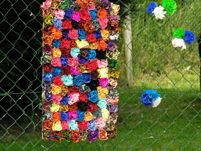 Image has been resized
